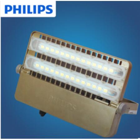 飞利浦BVP162 110W220W泛光灯LED投光灯 室外防水  -白光5700K 