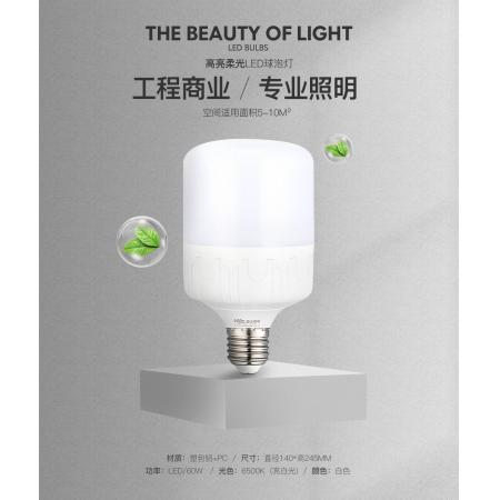 雷士（NVC）雷士照明节能灯 led大功率灯泡 省电灯饰 灯具 60W 6500K白光 E40球泡 一只装