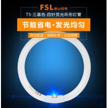 佛山照明（FSL）节能灯T5环形22W荧光灯管 白光