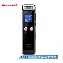 纽曼（Newsmy）录音笔 RV75 16G 发烧级无损录音 学习培训商务会议记录留证 MP3播放器 炫酷灰