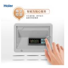海尔 Haier 商用卧式冰柜  SC/SD-747CGN