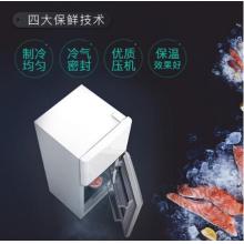 TCL 118升 小型双门电冰箱 LED照明 迷你小冰箱 冰箱小型便捷 节能静音（芭蕾白）BCD-118KA9