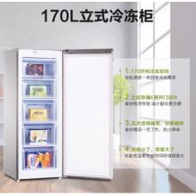 海信（Hisense）170升家用冰柜 一级能效节能立式冷冻 抽屉式储存冷柜 侧开门单门冰箱 BD-170/A 