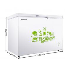 容声(Ronshen) 309升 商用卧式冰柜大冷柜 冷藏冷冻转换 一级能效BD/BC-309MD