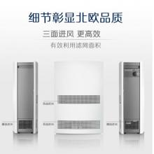 布鲁雅尔Blueair空气净化器303 家用卧室房室内轻音 去除甲醛 除雾霾 除花粉二手烟