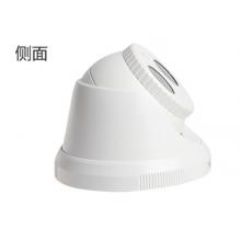 海康威视网络监控摄像头 网络高清红外30米半球监控设备套装 非POE 200万非POE DS-2CD1321D-I 2.8MM焦距