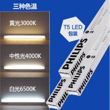 LED插接 飞利浦 T5  BN058C 0.6米6.5w6500K