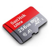 闪迪  256GB