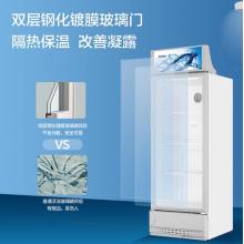 海尔（Haier） 280升风冷无霜立式展示柜冰柜 饮料冷藏柜 保鲜柜冷柜SC-288DS
