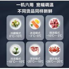 海尔（Haier）203升低霜小型 冰柜 冷藏冷冻转换冷冻柜 BC/BD-203HTD