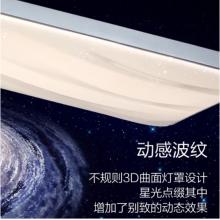 飞利浦（PILIPS）客厅灯L吸顶灯智控轻奢星云光效客厅卧室灯饰 两室一厅 9290025255   美妍智能Wii 套餐