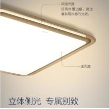 飞利浦 PHILIPS 吸顶灯客厅卧室长方形吸顶灯 幻镜长方形95W 27-65K金色含遥控器