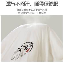 南极人NanJiren A类抗菌夏被空调被 大豆纤维被子被芯 全棉夏凉被双人夏季薄被子 200*230cm