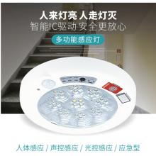 朗帝斯（LOWNDES） 人体感应灯 智能声控光控雷达led吸顶灯 梅花人体/大号12W白光