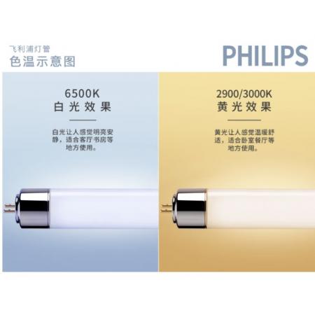 灯管	飞利浦T5 14瓦 