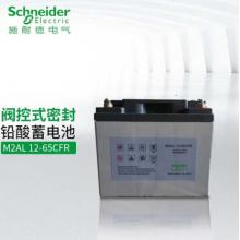 施耐德 M2AL12-65CFR 蓄电池