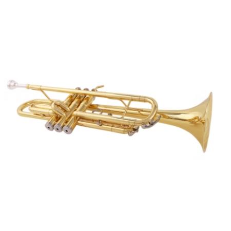 津宝JBTR 300小号乐器 金色