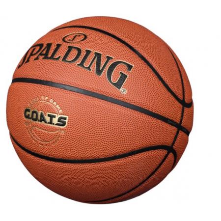 斯伯丁（SPALDING）篮球GOATS训练系列室内外通用防滑耐磨青少年成人篮球7号
