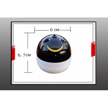 语音提示器    usb供电 6*6cm