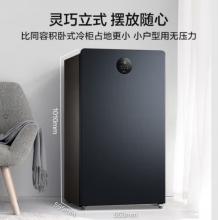 美的（Midea）120升节能家用立式冰柜-40℃深冷电子控温冷藏冷冻转换 抽屉式小型全冷冻冰箱冷柜 BD/BC-120UEM