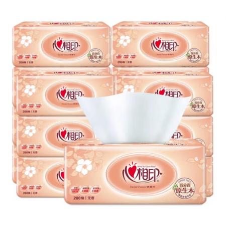 心相印  擦手纸 20包/箱