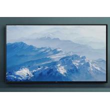 TCL   65寸  电视  65G60E