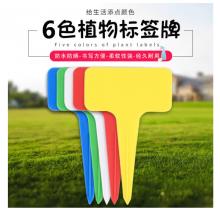 插地牌	大号随机混色100个