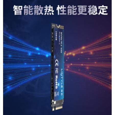 固态硬盘	凌态256G
