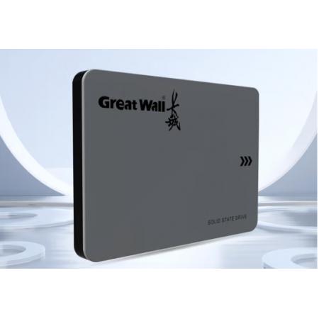 硬盘	长城1TB SSD固态