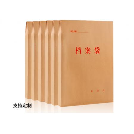 文件袋 晨信	A3的档案袋320_440mm