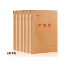 文件袋 晨信	A3的档案袋320_440mm