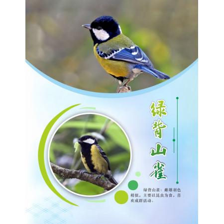 海报订制	60*90cm