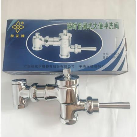 桂花 DN20 延时阀 