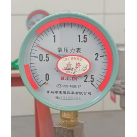 氧气压力表布莱迪2.5MP YO-150
