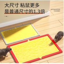 粘鼠板	绿叶超强力 50个/箱
