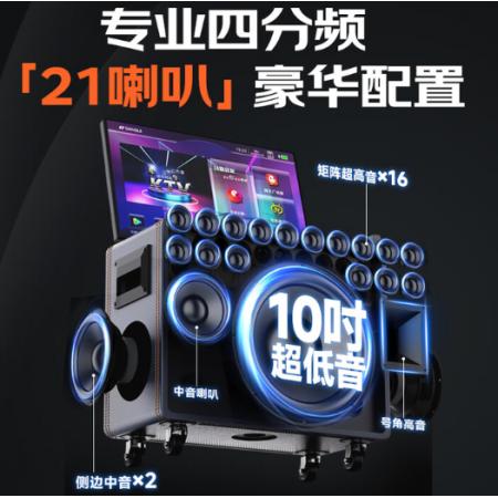 山水（SANSUI）户外K歌专用音响 Q109