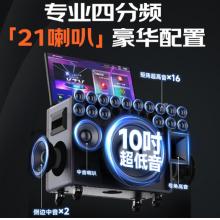 山水（SANSUI）户外K歌专用音响 Q109