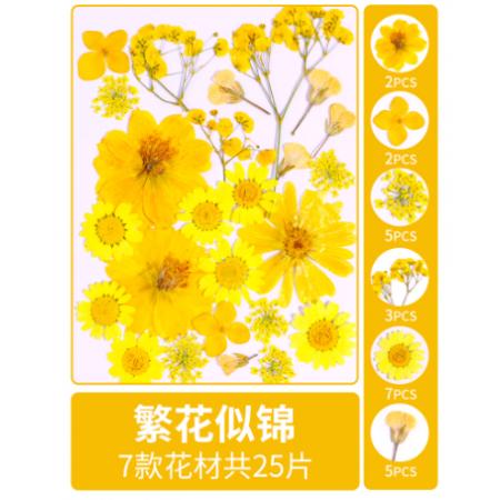 植物标本	diy材料包