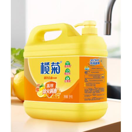 洗手液	榄菊按压5KG