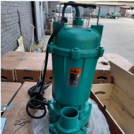 上海佳元 WQAS15-15-1.5kW 220v 便携式抽水泵