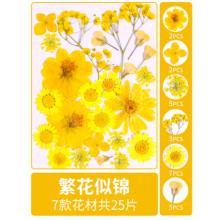 植物标本	diy材料包
