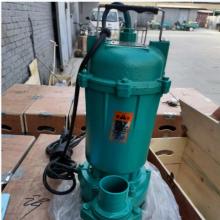 上海佳元 WQAS15-15-1.5kW 220v 便携式抽水泵