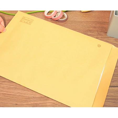 大信封	得力A4 10个装	Oct-62