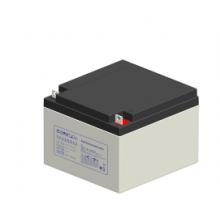 蓄电池  理士DJM1224S