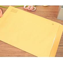 大信封	得力A4 10个装	Oct-62