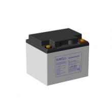 蓄电池 理士DJM1255S