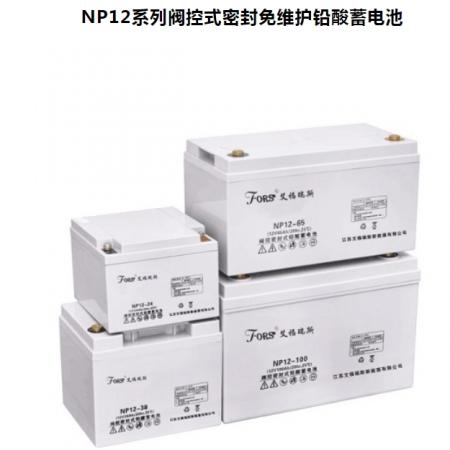 艾福瑞斯 FORS 12V100AH 阀控式密封免维护铅酸蓄电池