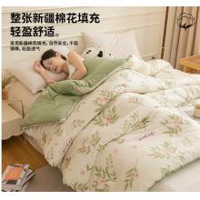 大豆棉春秋被芯150*200单人被子