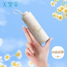 天堂 防晒晴雨伞五折 便携折叠口袋伞黑胶防紫外线遮阳伞 奶酪色