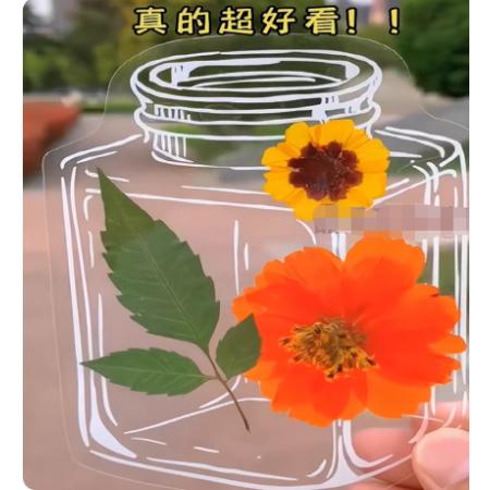 植物标本材料包	国产	大号透明60个+流苏